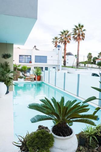 a large swimming pool with a palm tree at Villa Secret Spot Luxury in Lourinhã