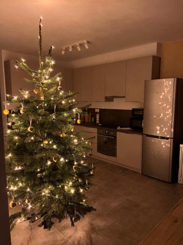 Kuchyň nebo kuchyňský kout v ubytování Luxury Apartments Panorama