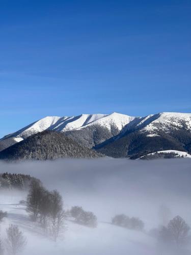 Příroda nedaleko apartmánu