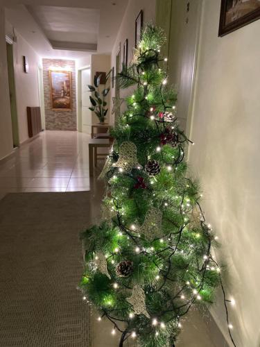 a green christmas tree with lights in a hallway at Classy Hostel in Madaba