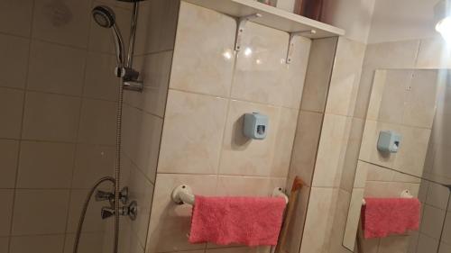 a bathroom with two pink towels and a shower at RELAX Privacy in Sarcelles