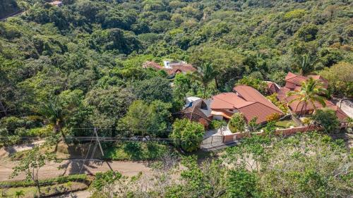 an aerial view of a house in the forest at Casa Nubes - Ocean View in Carrillo