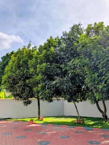 two trees in front of a wall with grass at Zion Crest Suites - Kilimanjaro Helichrysum Homes in Arusha