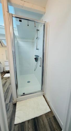 a shower in a room with a glass door at Studio Spa Du Bassin in Le Teich