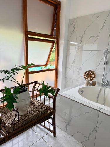 a bathroom with a plant sitting on a bench next to a bath tub at Map's View Guesthouse in Johannesburg