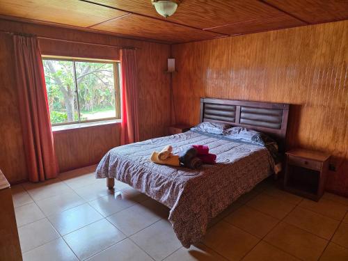 En eller flere senge i et værelse på Cabanas Hatutini