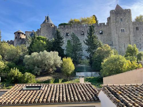 "Entrez en lice" appartement tout confort à 3 minutes à pied du château, Face à la Cité vue sublime