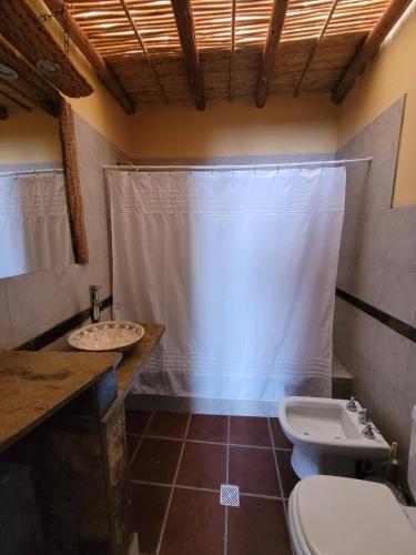 a bathroom with a toilet and a sink and a shower at Ñawpa Wasi in Humahuaca