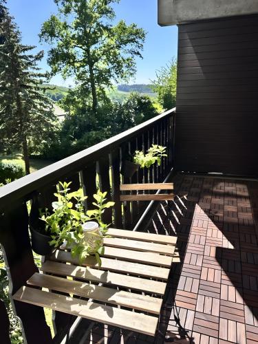 um banco de madeira sentado numa varanda com plantas em Schwarzwald Martini em Sasbachwalden