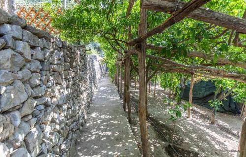 Κήπος έξω από το Villa Degli Ulivi