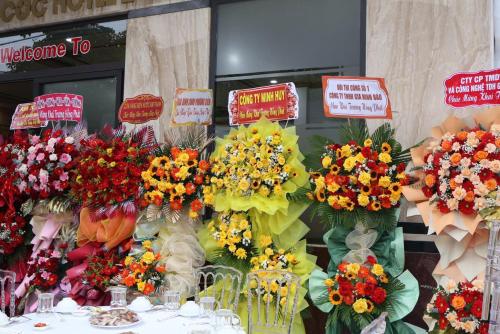 Еда / где поесть недалеко от отеля