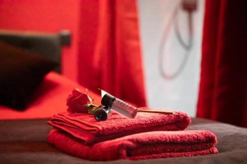 Fotografie z fotogalerie ubytování Cabaret Privé Suite Luxe & Bar Secret Colmar v destinaci Colmar