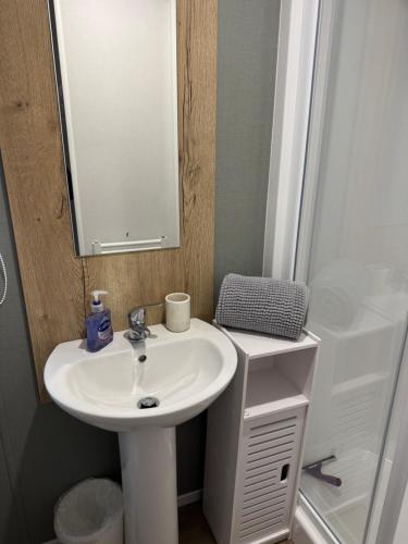 Fenny Bentley28 Fentley Green - Ashbourne Heights Holiday Park的浴室配有洗手池、镜子和淋浴。