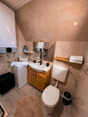 a small bathroom with a toilet and a sink at Guest House Sara 2 in Žabljak