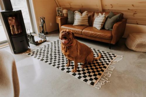 Domácí mazlíčci ubytovaní s hosty v ubytování Canadian Classic - Spa - Sauna - Fire - Forest