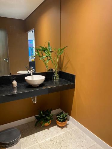 a bathroom with a sink and a mirror and some plants at Belém Forest Inn in Belém