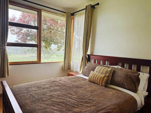 Wandin Farm Views في Gruyere: غرفة نوم بسرير كبير ونافذة