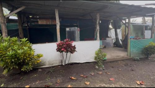 Hoone, kus käping asub