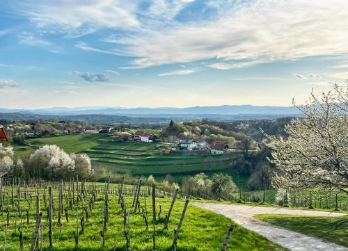 Billede fra billedgalleriet på Apartment Angelina i Metlika
