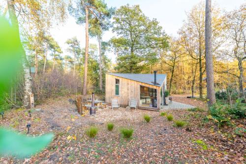 a tiny house in the woods with a porch at Tiny House Twente in De Lutte