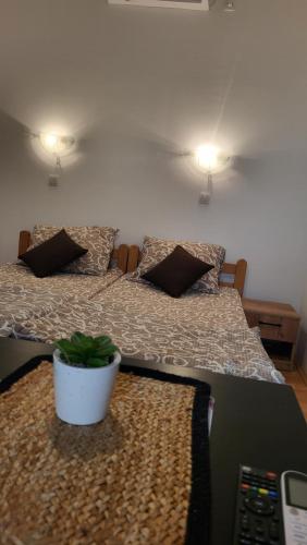Un dormitorio con una cama con una maceta. en Studio Janko, en Vrnjačka Banja