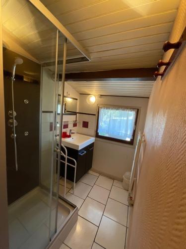 a small bathroom with a shower and a sink at Chambres, Table d'Hôtes et Gites Les Mesanges in Saint-Jean-de-Sauves