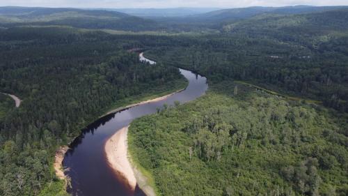 Příroda nedaleko chaty