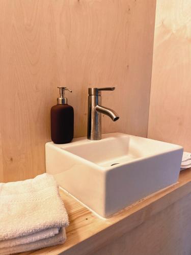 a bathroom sink with a soap dispenser on a counter at Micro-cabine, Méandre, La Tuque in La Tuque