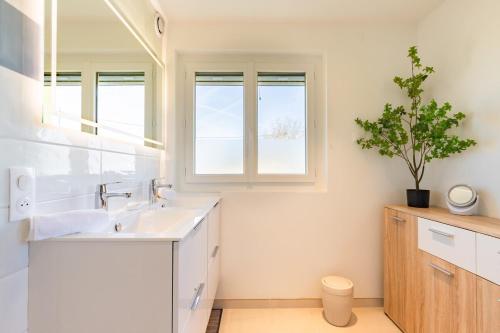 une salle de bain blanche avec un lavabo et une plante en pot dans l'établissement Maison Baqué, à Carbonne