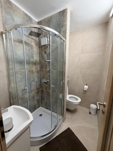 a bathroom with a shower and a toilet at SkyView Studio Vlčince with private parking in Žilina