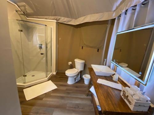 een badkamer met toilet, douche en wastafel bij Premium Suite 1-Safari Tent-Private Hot Tub in Marble Falls