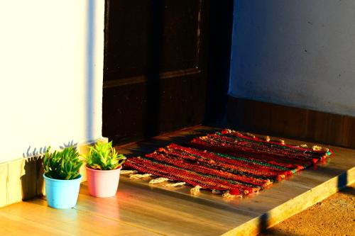 a row of hot dogs on a grill with two potted plants at Villa del Sol Complejo in Liebig