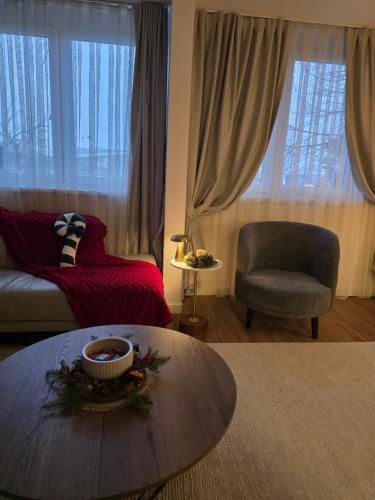 Airport nest Sarajevo في سراييفو: غرفة معيشة مع طاولة قهوة وكرسي