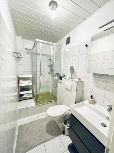 リューネンにあるGemütliche & voll ausgestattete Stadtwohnungのトイレ、シャワー、洗面台を備えたバスルーム