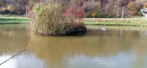 Φωτογραφία από το άλμπουμ του Sunstation σε Ilok