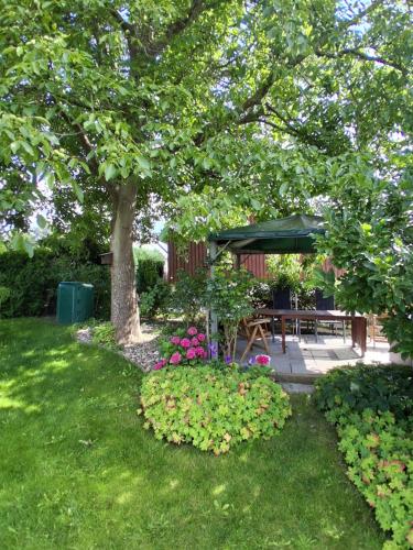 صورة لـ Ferienwohnung MiJo - charmante Küstenähe in der Strandstraße في Kröpelin