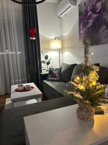 Et opholdsområde på Apartman Pčelica Sombor