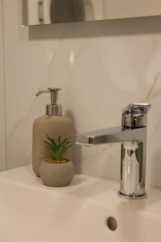 a bathroom sink with a soap dispenser and a plant on it at Louisa's Loft - Auszeit in den Bergen & der Natur für Familien, Freunde und Paare - Wandern & Seen - 1h ab Zürich in Alt Sankt Johann