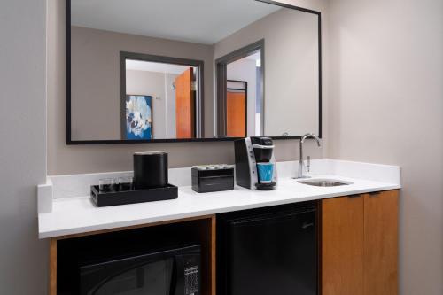 Embassy Suites by Hilton Franklin Cool Spring في فرانكلين: حمام مزود بحوض ومِرآة