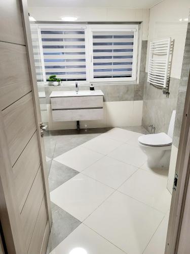 a bathroom with a toilet and a sink and a window at A&G SoDYBA LIUXAPARTAMENT in Plungė