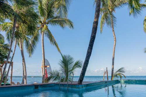 Hồ bơi trong/gần Mayan Monkey Isla Mujeres - Social Hotel