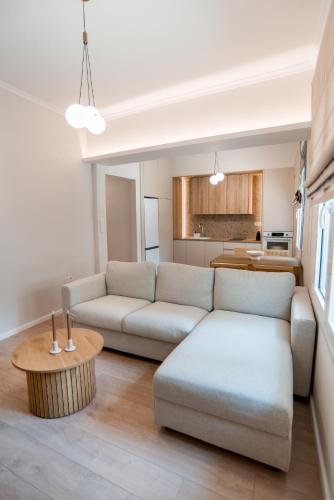 14 luxury apartment