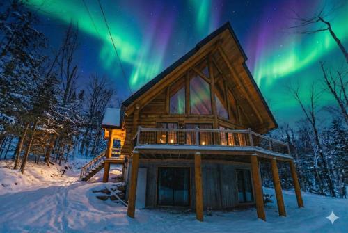 Το The ANIMAL - PARTY TIME - POOL SPA AND MOUNTAIN τον χειμώνα