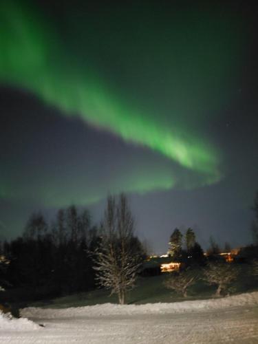 an image of the northern lights in the sky at A room (or 2 or 3) in a Lapland House of Dreams in Rovaniemi