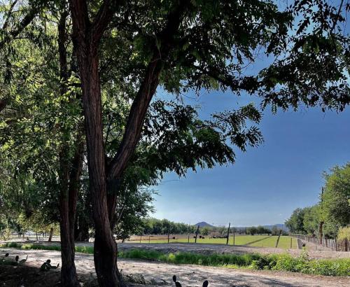 Naturlandschaft in der Nähe des Ferienhauses