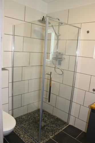 a glass shower in a bathroom with a toilet at Ferienwohnung Am Sieler in Südbrookmerland