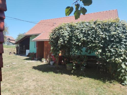 a house with a tree with white flowers on it at Shambhala Holiday House in Blatuša
