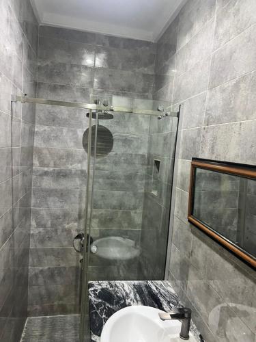 a bathroom with a glass shower and a sink at The Private Pearl Apartment in Ikeja