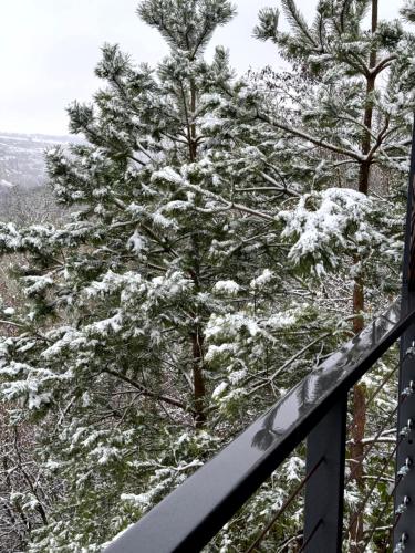 a snow covered tree in front of a fence at BarnHouse "Family Estate" in Kamianets-Podilskyi