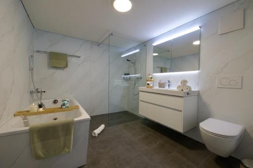 a bathroom with a sink and a toilet and a shower at Louisa's Gallery - Whirlpool - Berge & Wandern - Abendruhe - familien- & gruppenfreundlich - 1h von Zürich in Alt Sankt Johann
